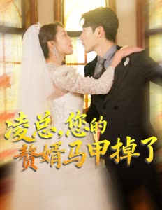 凌总，您的赘婿马甲掉了封面