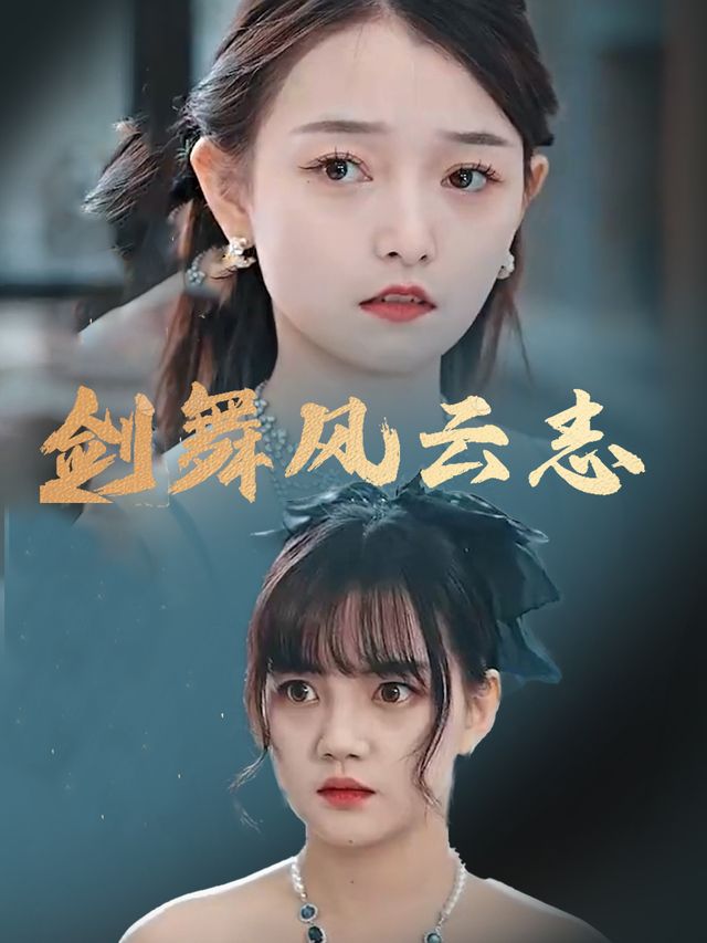 剑舞风云志封面