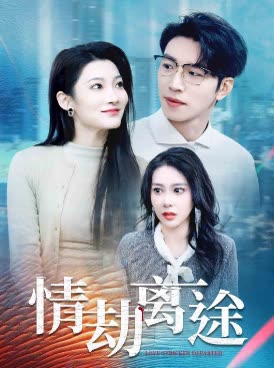 情结离途封面