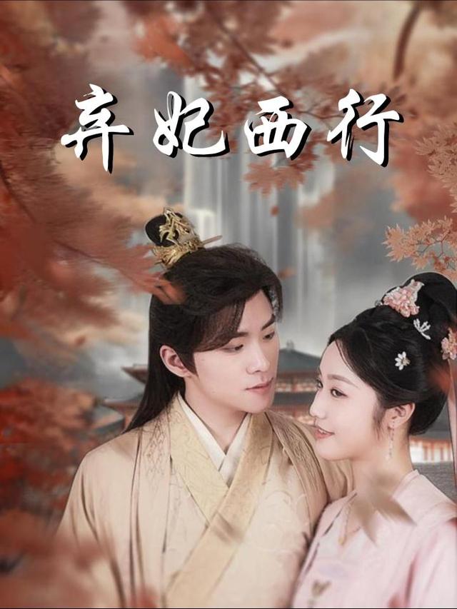 弃妃西行封面