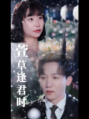 萱草逢君时封面