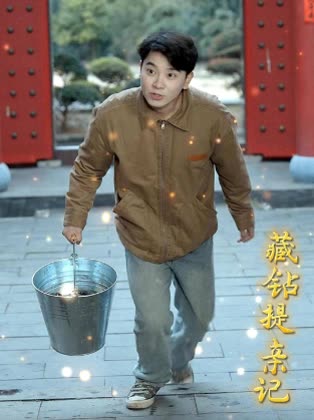 藏钻提亲记封面