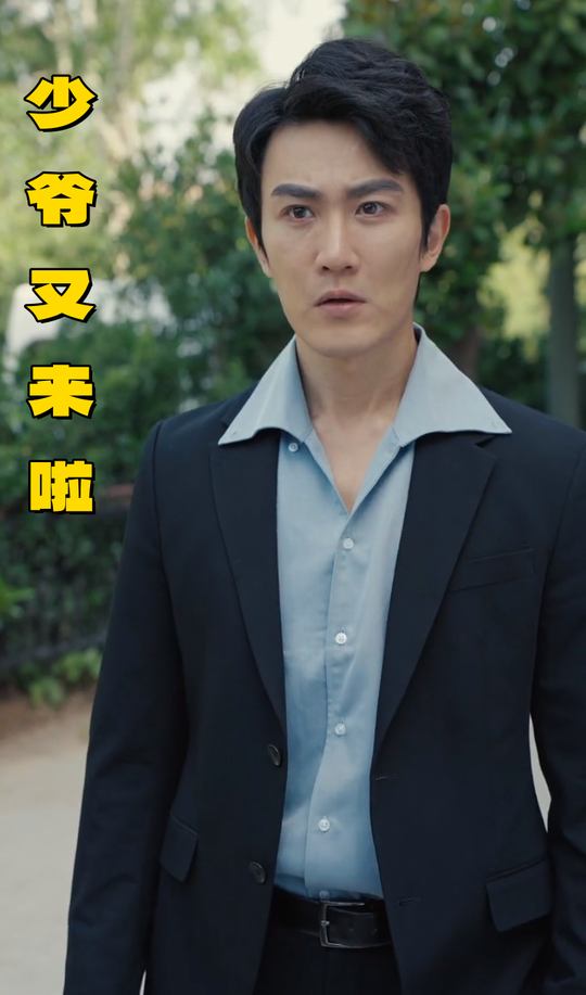 少爷又来啦封面