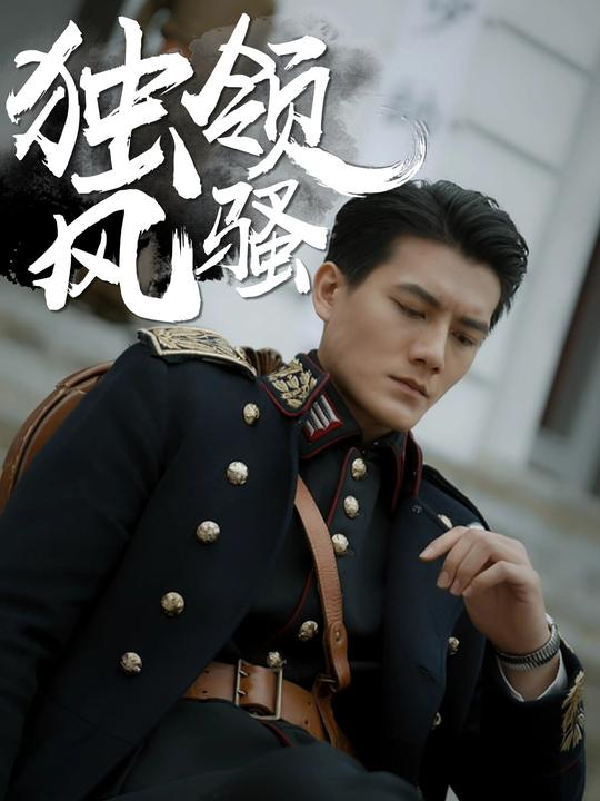 独领风骚封面