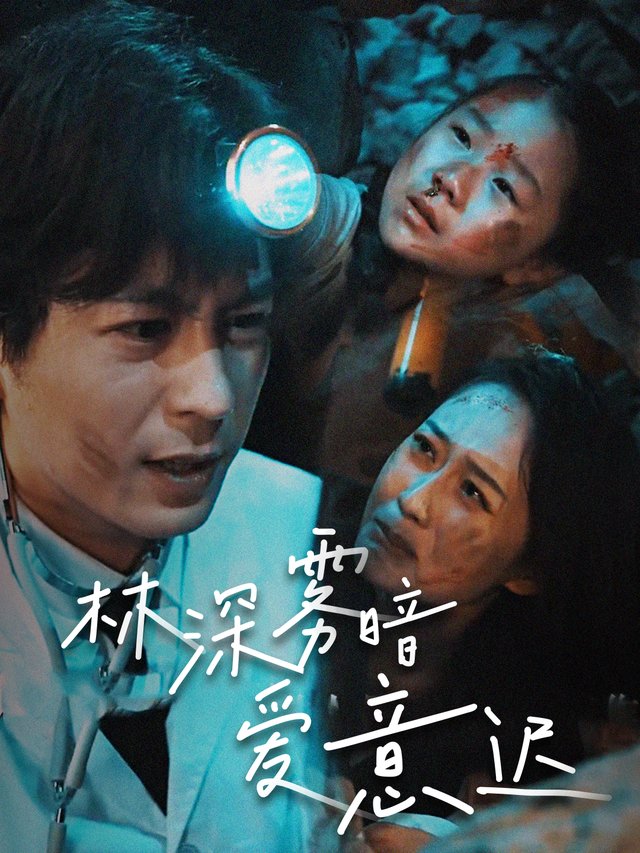 林深雾暗爱意迟封面