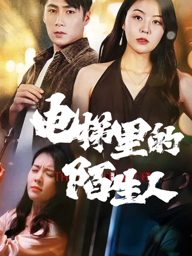 电梯里的陌生人封面