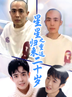 星星归来之重返二十岁封面