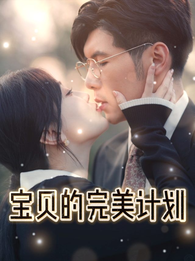 宝贝的完美计划封面