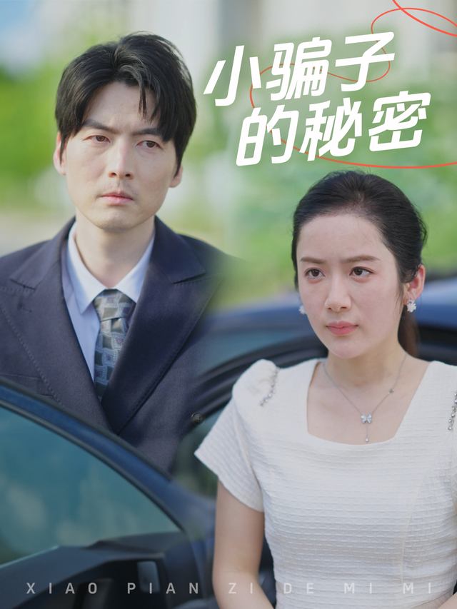 小骗子的秘密封面