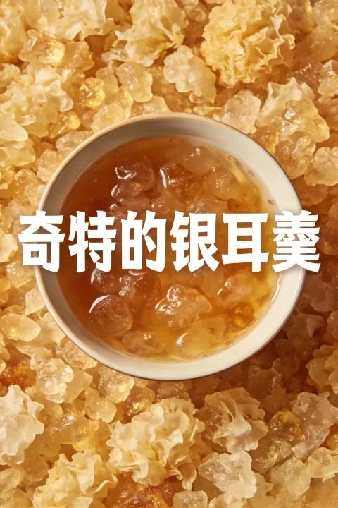 奇特的银耳羹封面