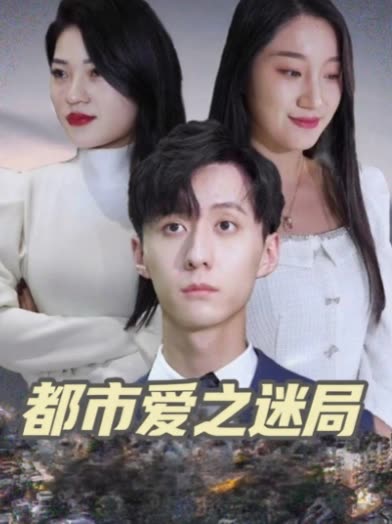都市爱之迷局封面