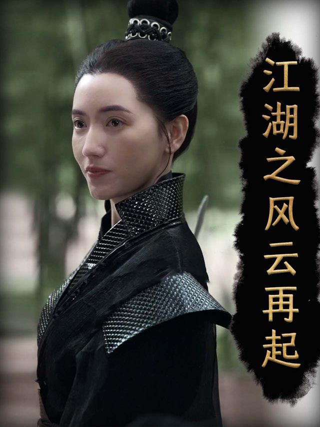 江湖之风云再起封面