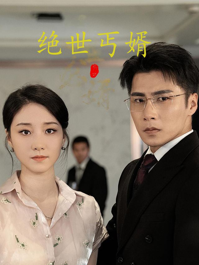 绝世丐婿封面