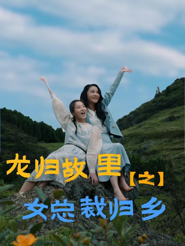 龙归故里之女总裁归乡封面