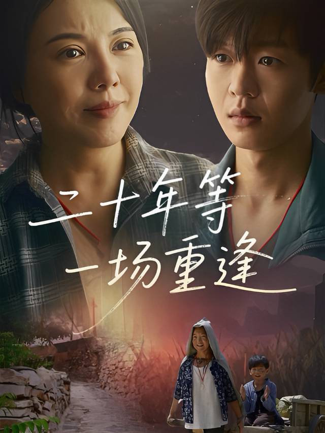 二十年等一场重逢封面