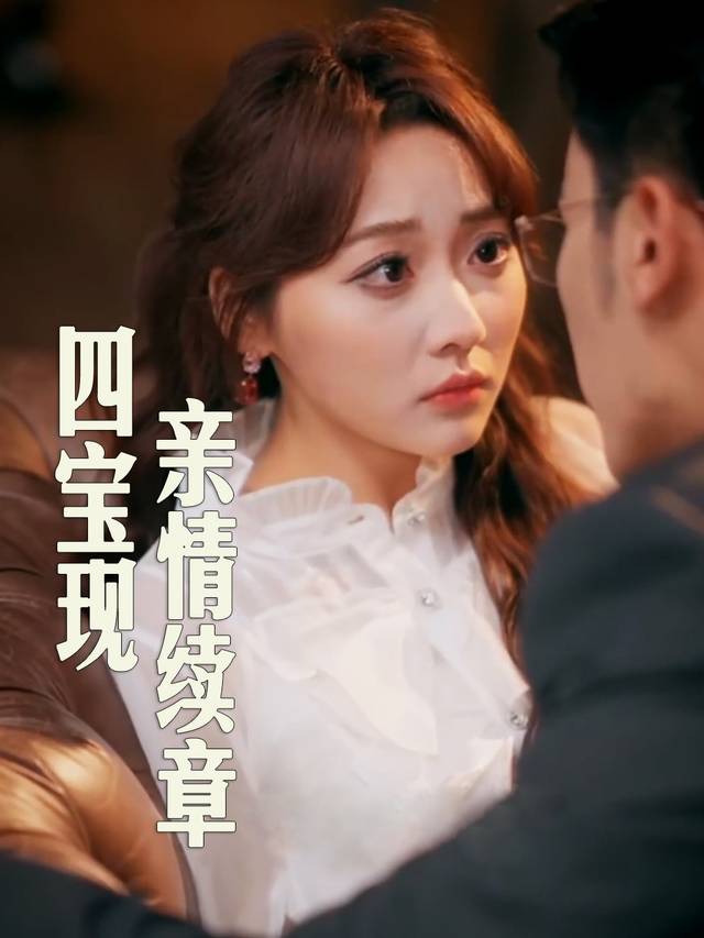 四宝现,亲情续章封面