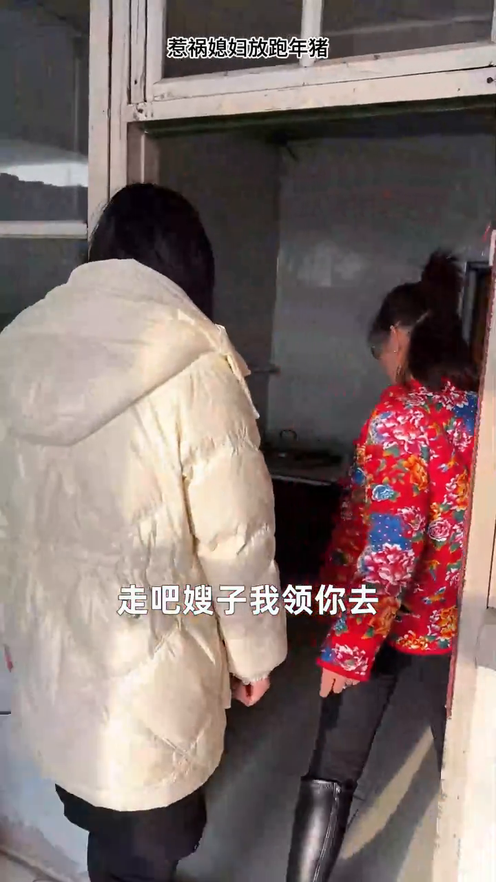 惹祸媳妇放跑年猪封面