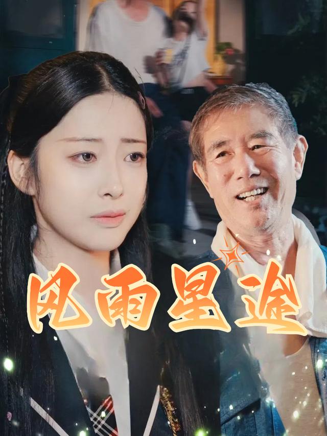 风雨星途封面