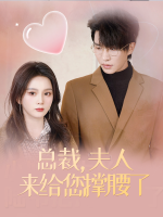 总裁,夫人来给您撑腰了封面