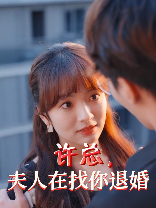 许总，夫人在找你退婚封面