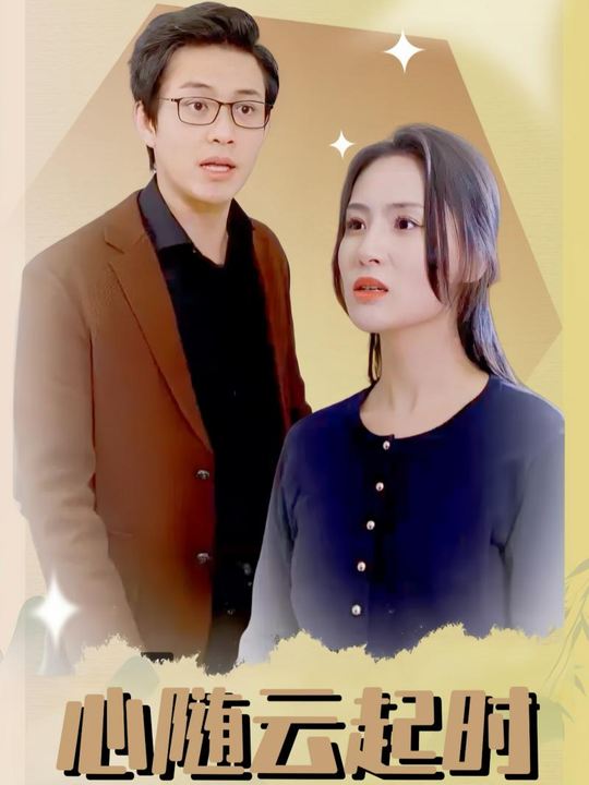 心随云起时封面
