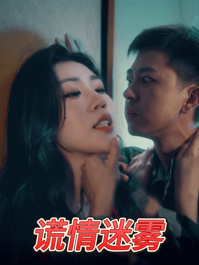 谎情迷雾封面