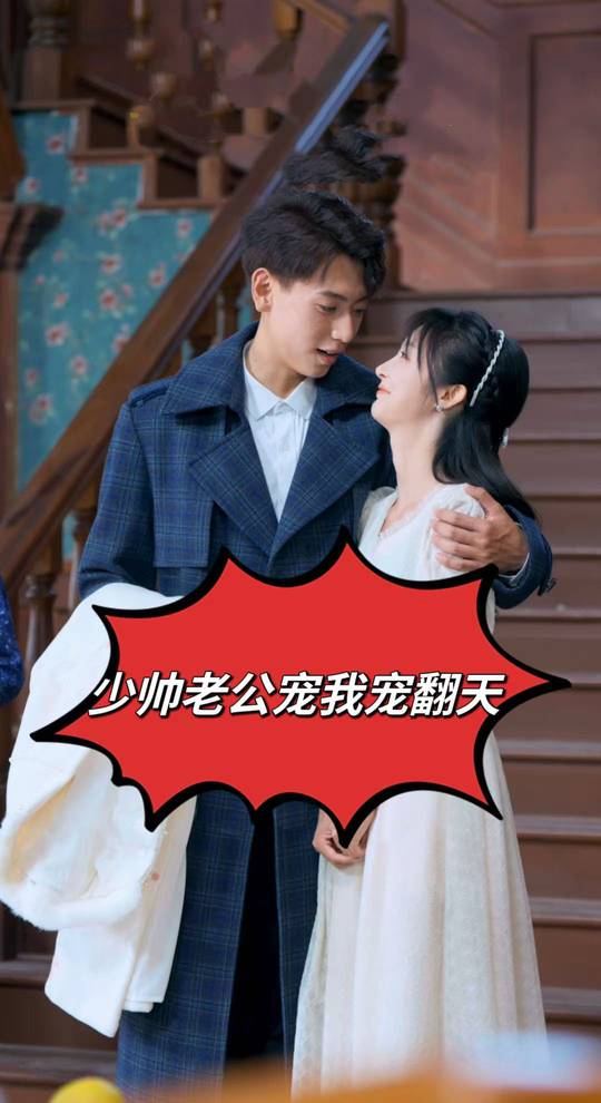 少帅老公宠我宠翻天封面