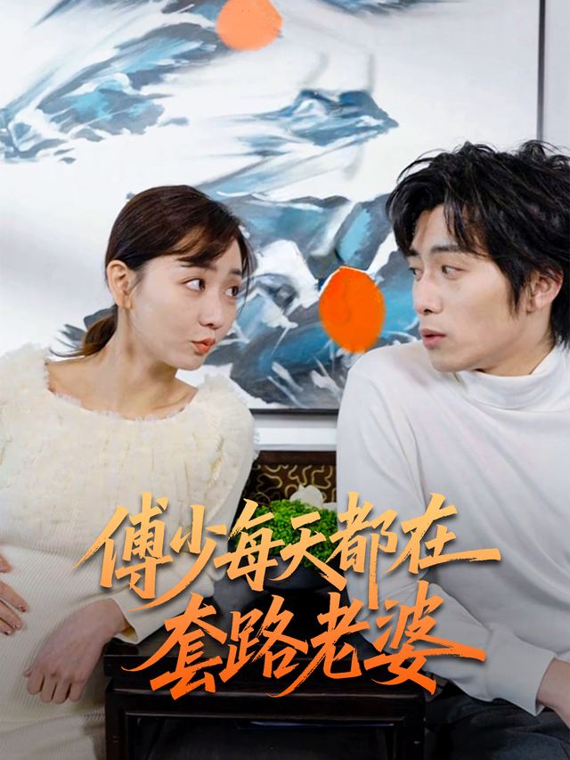 傅少每天都在套路老婆封面