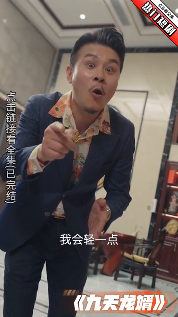 九天龙婿封面