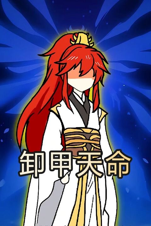 卸甲天命封面