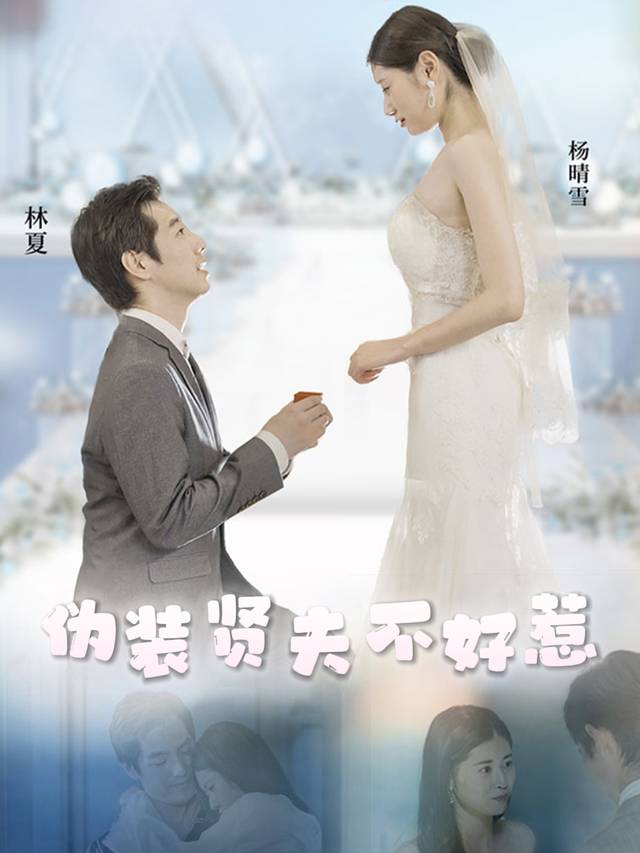 伪装贤夫不好惹封面