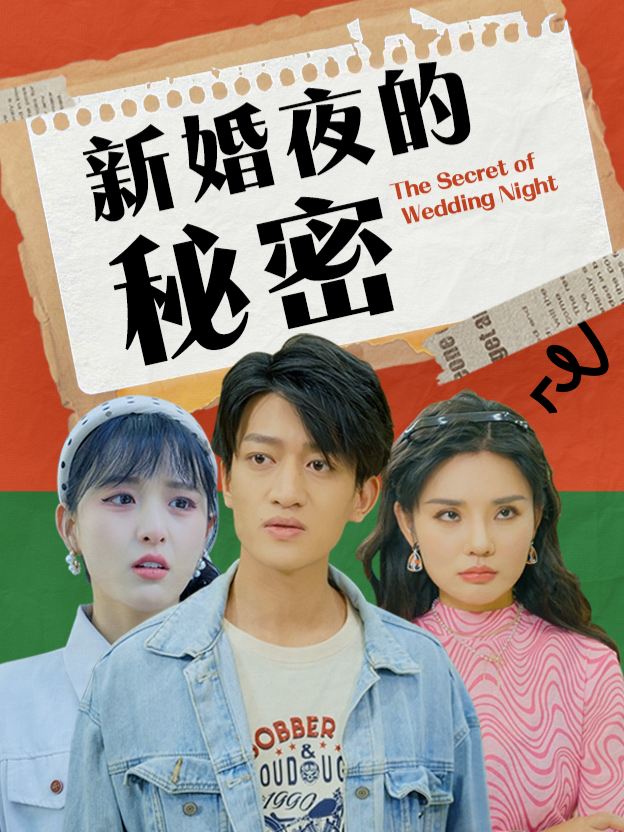 新婚夜的秘密封面