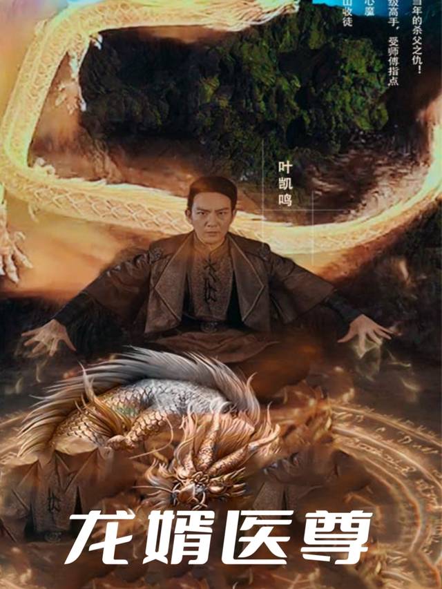 龙婿医尊封面