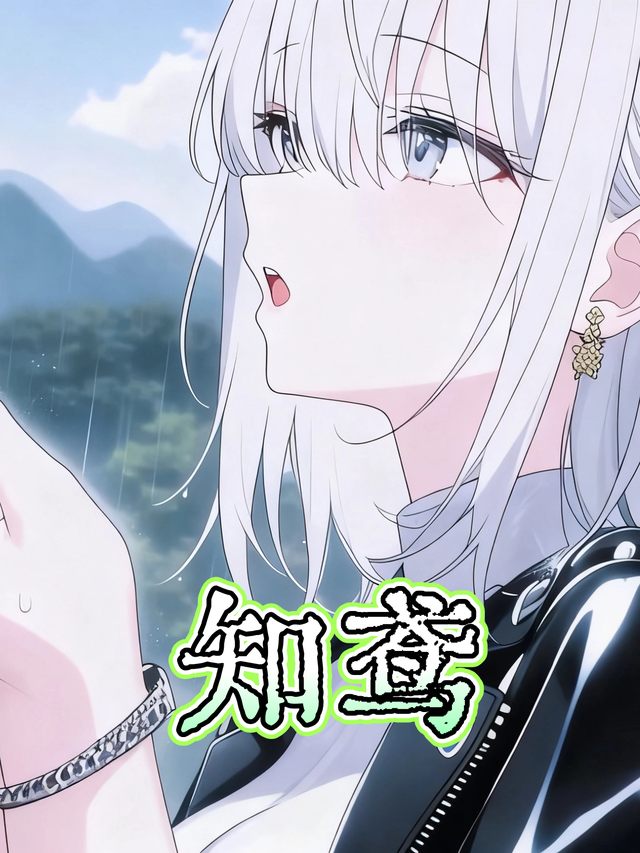 知鸢封面