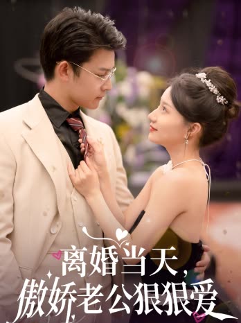 离婚当天,傲娇老公狠狠爱封面