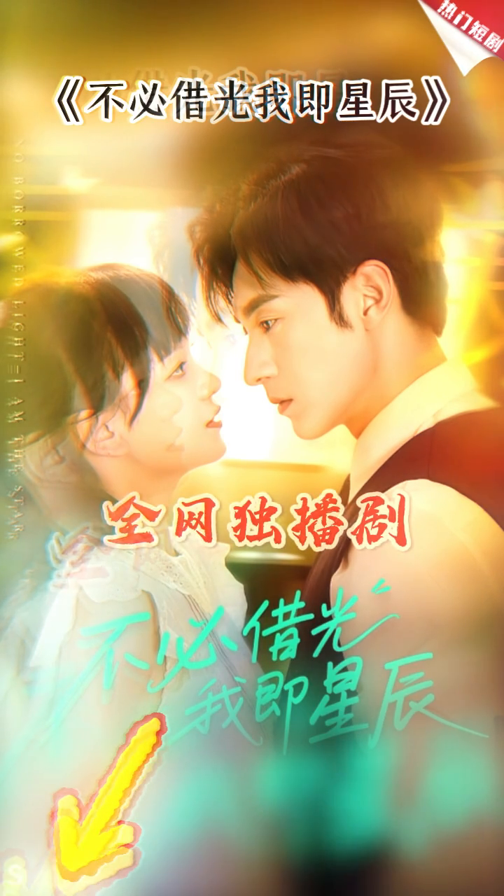 不必借光我即星辰封面