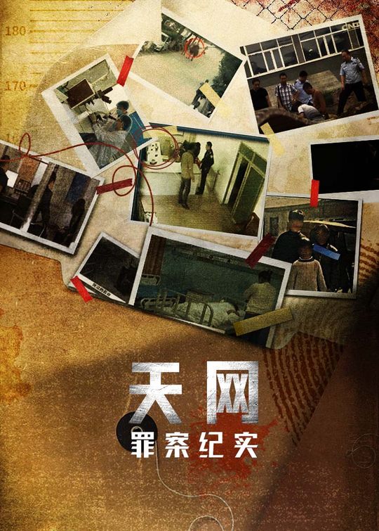 天网:罪案纪实封面