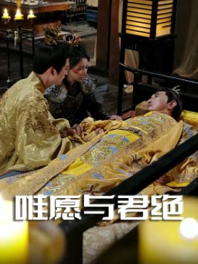 唯愿与君绝封面
