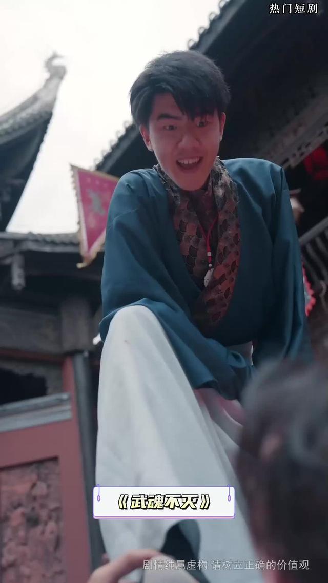 武魂不灭封面
