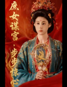 庶女谋宫，步步惊心封面