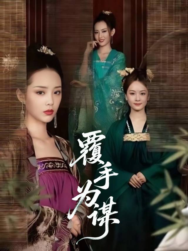 覆手为谋封面