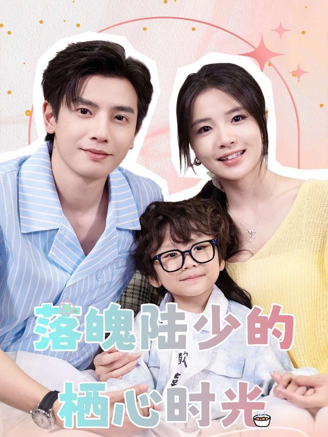 落魄陆少的栖心时光封面