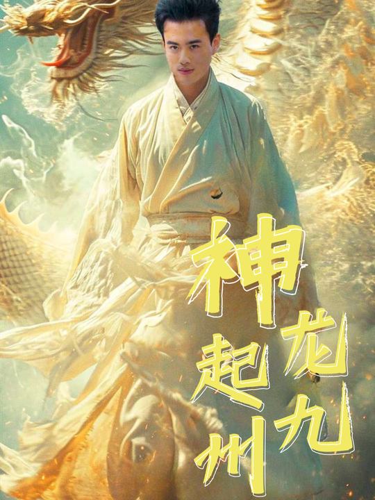 神龙起九州封面
