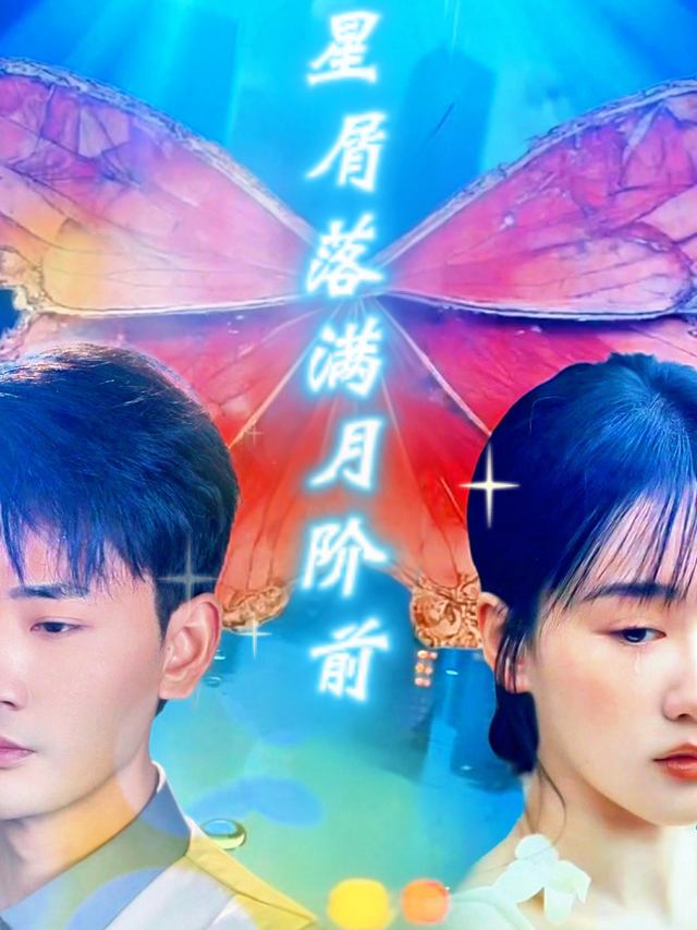 星屑落满月阶前封面