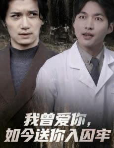 我曾爱你,如今送你入囚牢封面
