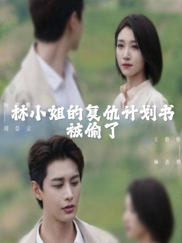林小姐的复仇计划书被偷了封面
