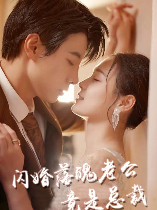 闪婚落魄老公竟是总裁封面