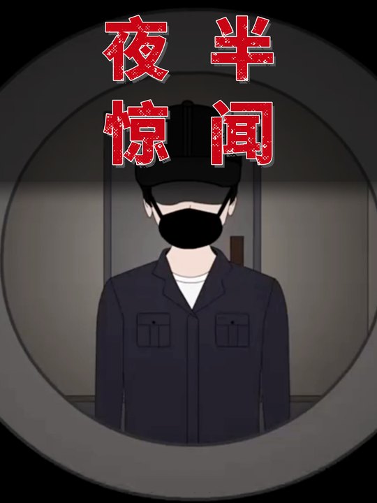 夜半惊闻封面