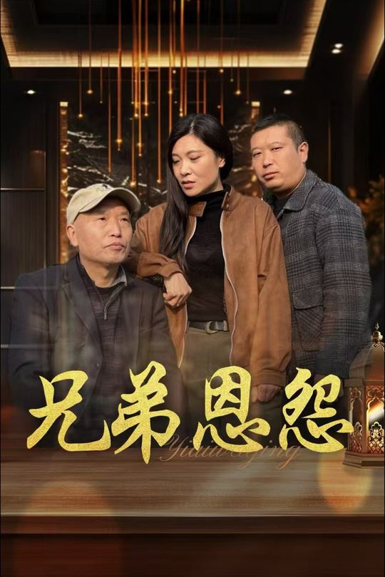 兄弟恩怨封面