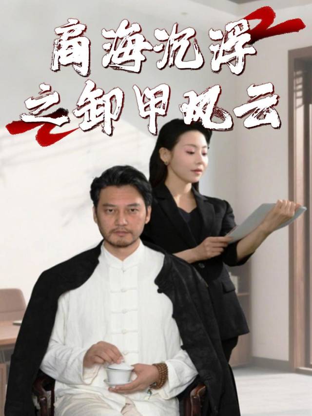 商海沉浮之卸甲风云封面